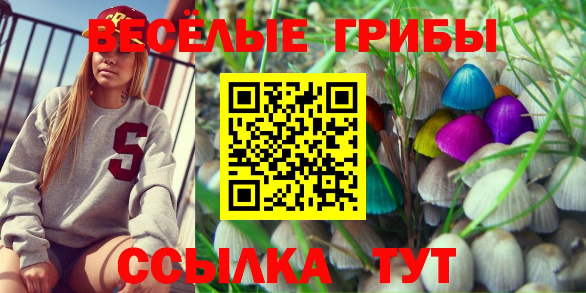 Псилоцибиновые грибы мухоморы  Вход с VPN  Шатура 