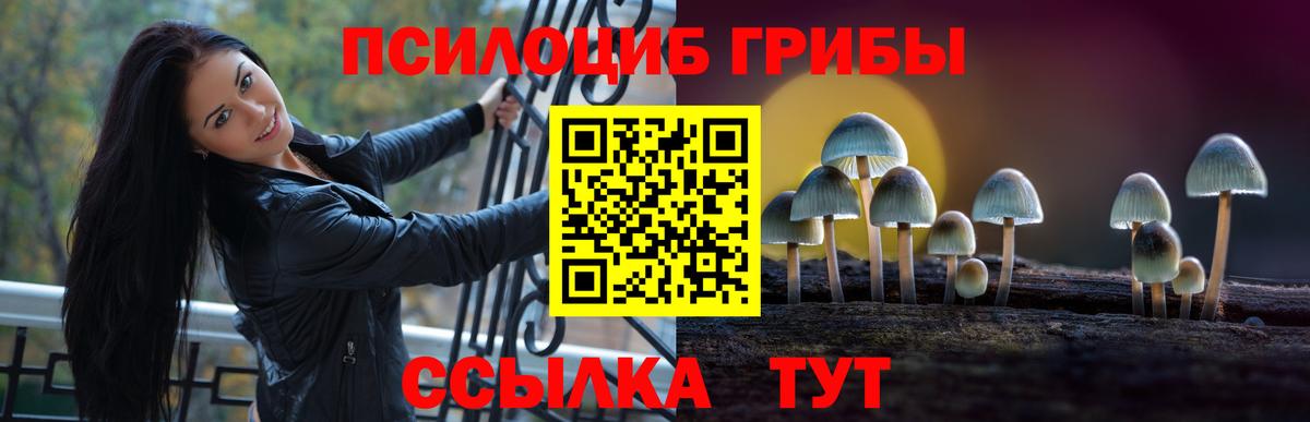 Псилоцибиновые грибы MAGIC MUSHROOMS Шатура